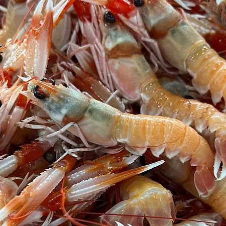 Casa Santiago & Mafalda Lux Prázdninový dům Olhão