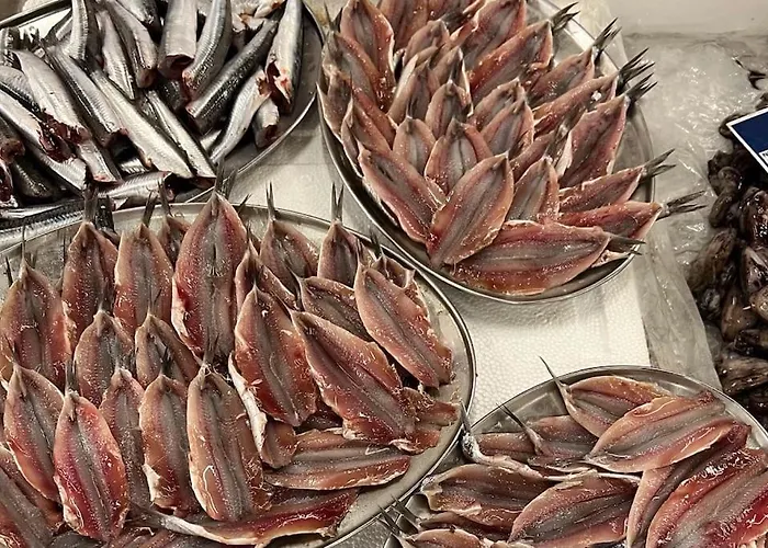 Casa Santiago & Mafalda Lux