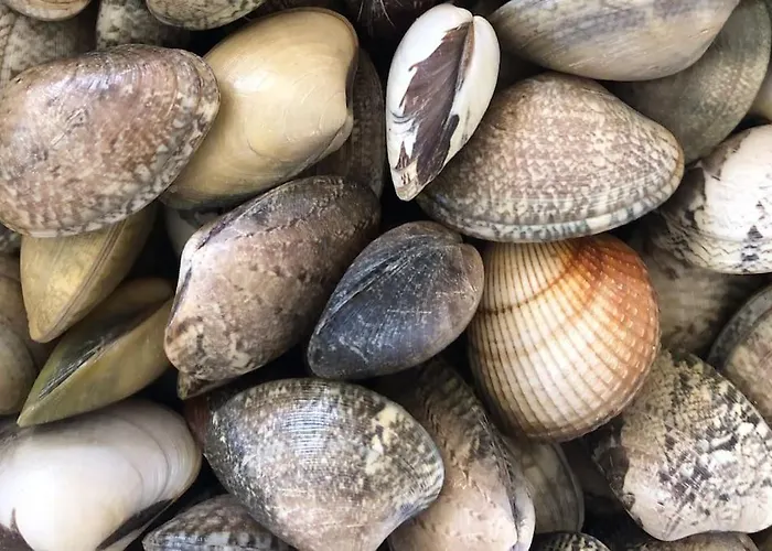 Casa Santiago & Mafalda Lux *