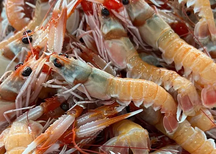 Casa Santiago & Mafalda Lux Dom wakacyjny Olhão