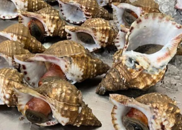 Casa Santiago & Mafalda Lux Dom wakacyjny *