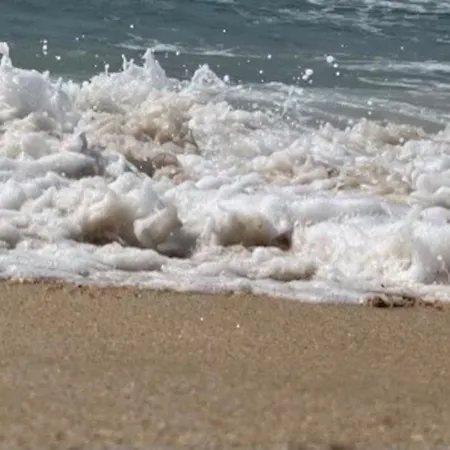 Vakantiehuis Casa Santiago & Mafalda Lux *