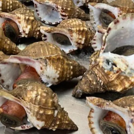 Casa Santiago & Mafalda Lux Vakantiehuis *